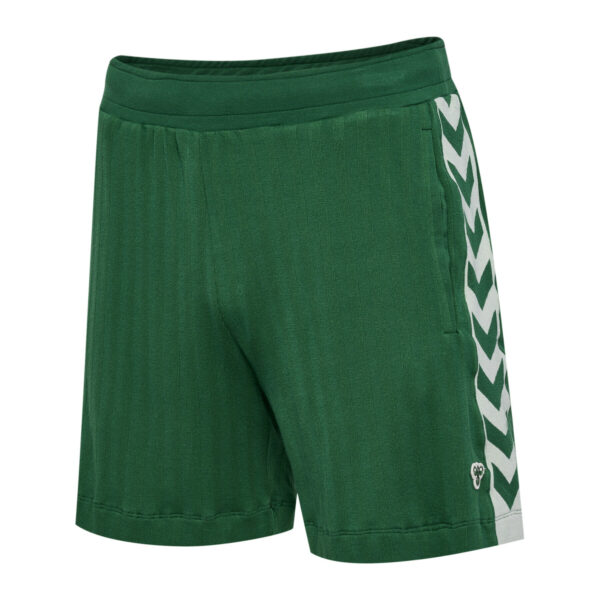 hmlARCHIVE REGULAR SHORTS - Imagen 5
