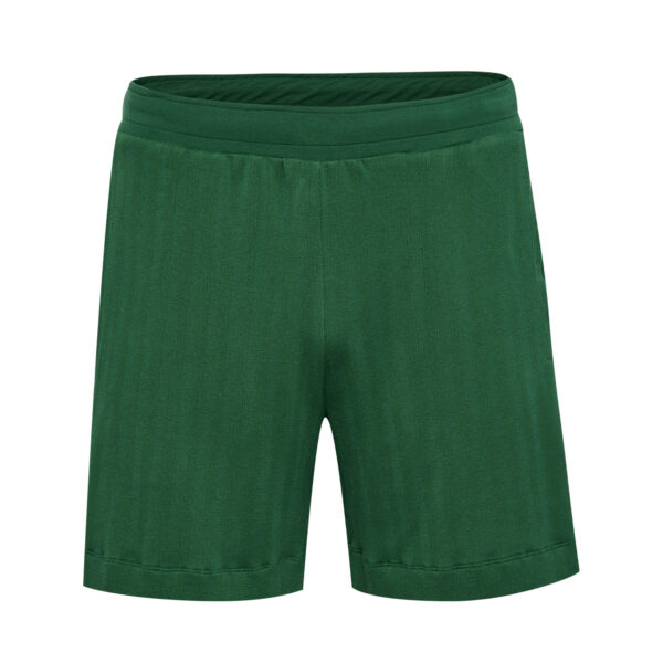 hmlARCHIVE REGULAR SHORTS - Imagen 6